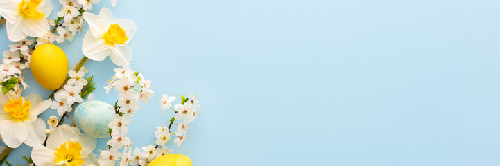 Festive banner with spring flowers and Easter eggs, white daffodils and cherry blossom branches on a blue pastel background - obrazy, fototapety, plakaty