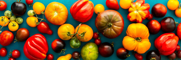 Multi-colored bright ripe tomatoes on an emerald green background, different types of tomatoes,...
