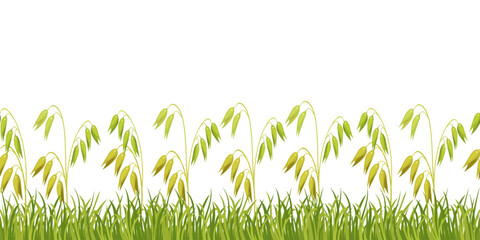 Seamless stripe of oats in grass for design. Green border of field grass. Vector illustration of field of grain crops.
