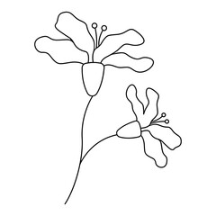 Flower line art. Design element with floral theme.