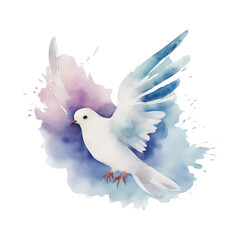 watercolour dove