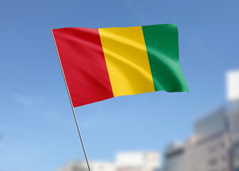 Guinea flag waving in the wind.
