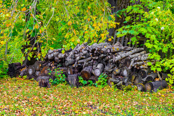 firewood lies on the grass in the garden