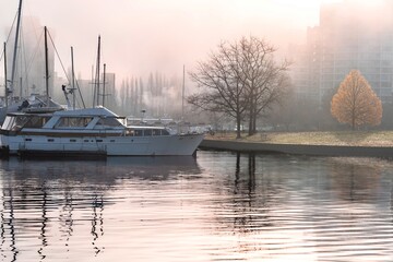 Sail boat in city harbor in foggy morning. Calm water with reflections of boat, tree and buildings. Coal Harbour. Vancouver downtown. British Columbia. Canada