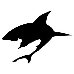 silhouette of a shark