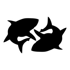 shark illustration