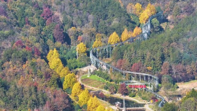 Wuhan Mu Lan Tianchi Scenic Area Late Autumn Scenery
