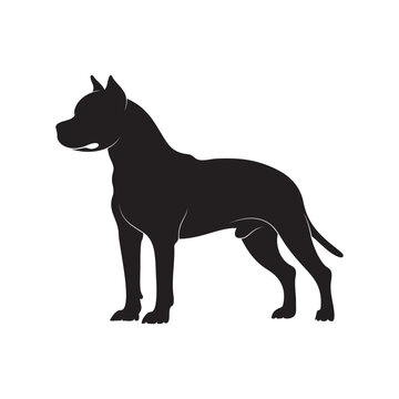 Pitbull dog silhouette on white background