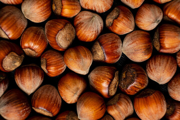 Hazelnuts background. Close up of a group of hazelnuts