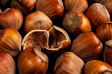 Hazelnuts background. Close up of a group of hazelnuts