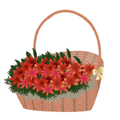 Fototapeta na wymiar Basket of red flowers 