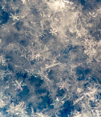 Close-up of snowflakes on a blue background. Macro