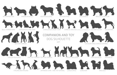 Dog breeds silhouettes, simple style clipart. Companion and toy dogs collection