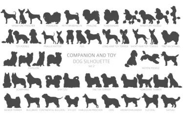 Fotobehang Dog breeds silhouettes, simple style clipart. Companion and toy dogs collection © a7880ss