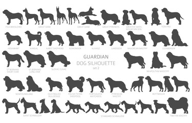 Dog breeds silhouettes, simple style clipart. Guardian dogs and service dog collection - obrazy, fototapety, plakaty