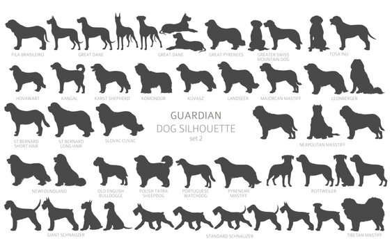 Dog breeds silhouettes, simple style clipart. Guardian dogs and service dog collection