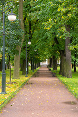 path in the park