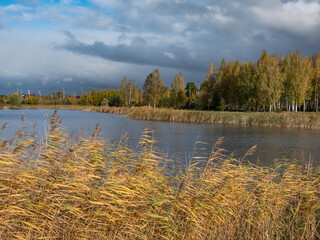 Beautiful landscape of autumn scenery with big lake, spur trees, birch trees and vegetation in yellow, orange and warm toned colors with blue sky and white clouds
