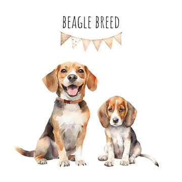 Watercolor beagle breed adult dog and puppy. Watercolor collection of dogs.