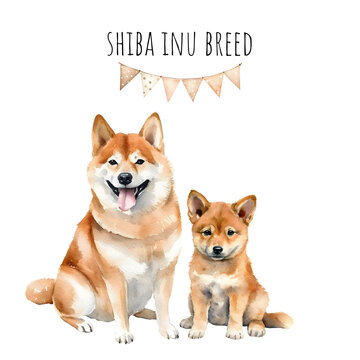 Watercolor shiba Inu breed adult dog and puppy. Watercolor collection of dogs.