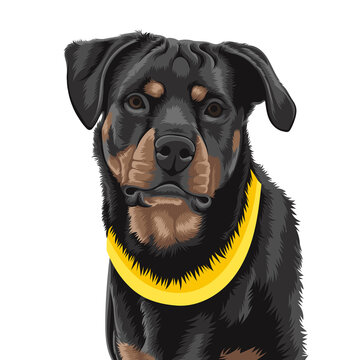 portrait of a dog vector