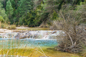 waterfall in the forest