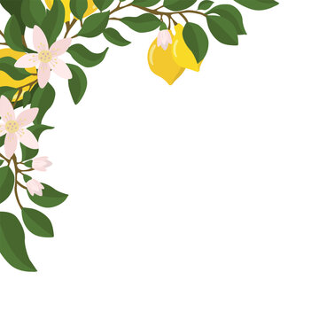 A border of lemon twigs and lemons in the corner of the composition. Vector illustration isolated on a white background.