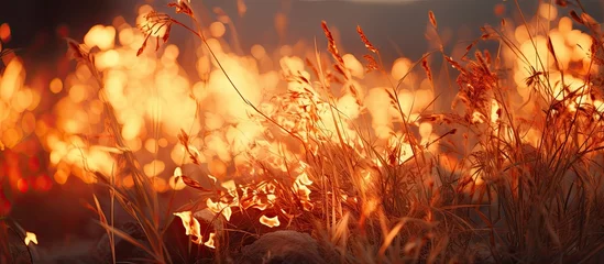 Fotobehang Flame for controlling weeds through heat. © AkuAku