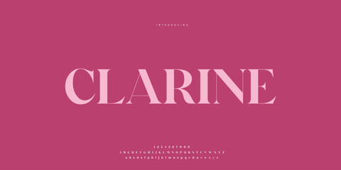 Hand drawn elegant alphabet letters font and number. Classic Lettering Minimal Fashion Designs. Typography modern Sen serif fonts regular decorative vintage concept. vector illustration © SyedMuhammad