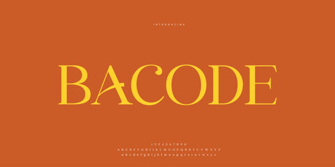 Hand drawn elegant alphabet letters font and number. Classic Lettering Minimal Fashion Designs. Typography modern Sen serif fonts regular decorative vintage concept. vector illustration © SyedMuhammad