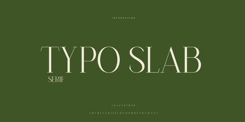 Hand drawn elegant alphabet letters font and number. Classic Lettering Minimal Fashion Designs. Typography modern Sen serif fonts regular decorative vintage concept. vector illustration © SyedMuhammad