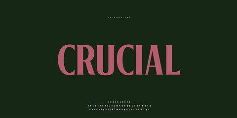 Hand drawn elegant alphabet letters font and number. Classic Lettering Minimal Fashion Designs. Typography modern Sen serif fonts regular decorative vintage concept. vector illustration © SyedMuhammad