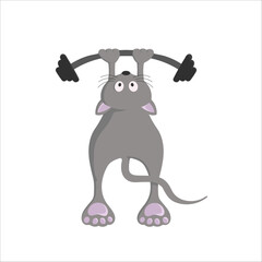 Cute Mouse Lifting Barbell Vector Illustration