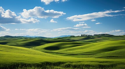Tuscany landscape with green fields and blue sky. Italy.