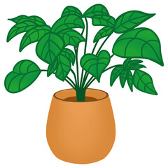 Vibrant Brown Tree Plant with Green Leaves isolated on a white background