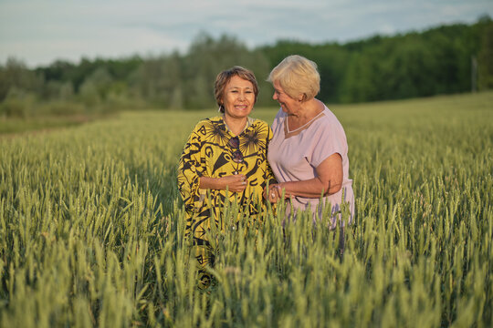Two elderly women in a field, sharing a joke in the soft light of dusk. Symbolizes the importance of social interaction for mental health in aging.