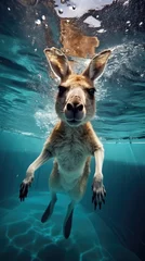Selbstklebende Fototapeten a kangaroo swimming under water in a pool © Salander Studio