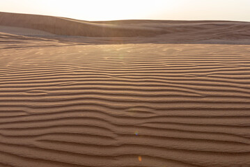 sunset light on golden desert dunes. desert pattern