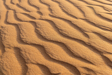 sunset light on golden desert dunes. desert pattern