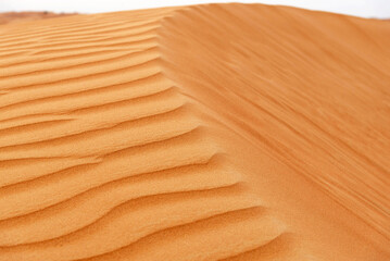wave of golden desert dunes. desert pattern