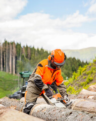 Woodcutter saws tree chainsaw on sawmill. Hard wood working in forest. Lumberman work wirh chainsaw...