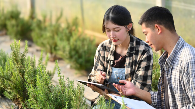 Young farmers examining green rosemary and recording farming data on digital tablet - Powered by Adobe