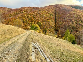 autumn in the mountains