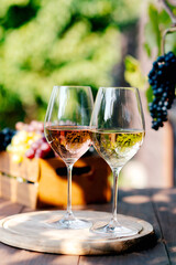 Glasses of red white rose wine on the table