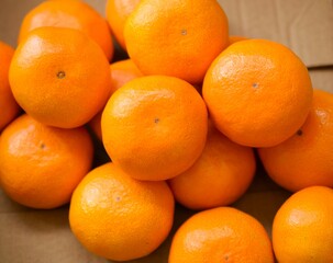 段ボール箱に入れた小玉の蜜柑、小さいサイズのミカン、温州みかん