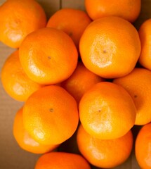 段ボール箱に入れた小玉の蜜柑、小さいサイズのミカン、温州みかん