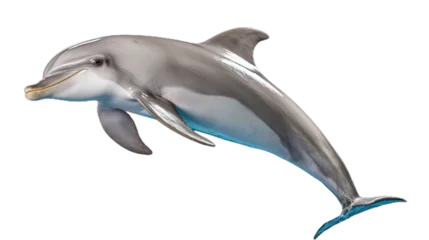 Keuken spatwand met foto Dolphin. Isolated on Transparent background.  ©  Mohammad Xte