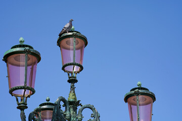 Lantern on the street of Venice. The famous pink lights of Venice. Four lamps with pink glass are...