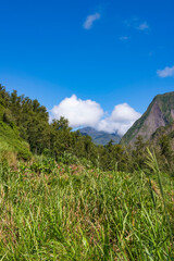 paysage à Salazie, la Réunion