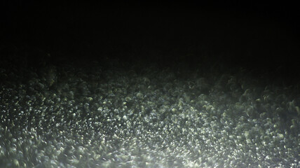 Silver Glitter Bokeh - Sleek and Elegant Shimmering Effects for Sophisticated Design Projects, Ideal for Creating Stylish and Luxurious Visuals